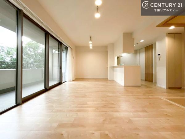 TheNOBUTOHILLSFORESTCORT