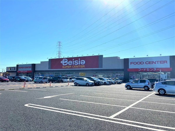 千葉市緑区古市場町　11号棟(ベイシアちば古市場店)