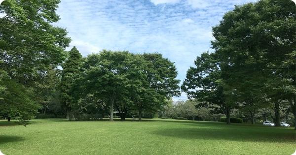 千葉市若葉区中田町の中古一戸建て(平和公園)