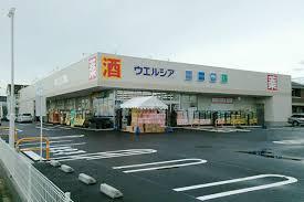 市原市五井の新築一戸建(ウエルシア市原五井店)