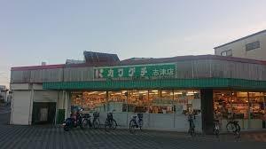 佐倉市中志津２丁目の新築一戸建(スーパーチェーンカワグチ志津店)
