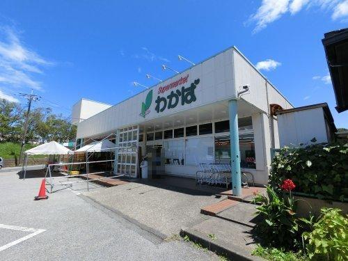 市原市青葉台７丁目の新築一戸建(スーパーわかば)