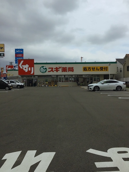 東大阪市池島町４丁目の中古一戸建て(スギ薬局　若草町店)