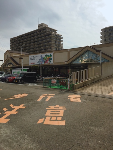 東大阪市日下町1丁目の土地(関西スーパー 日下店)