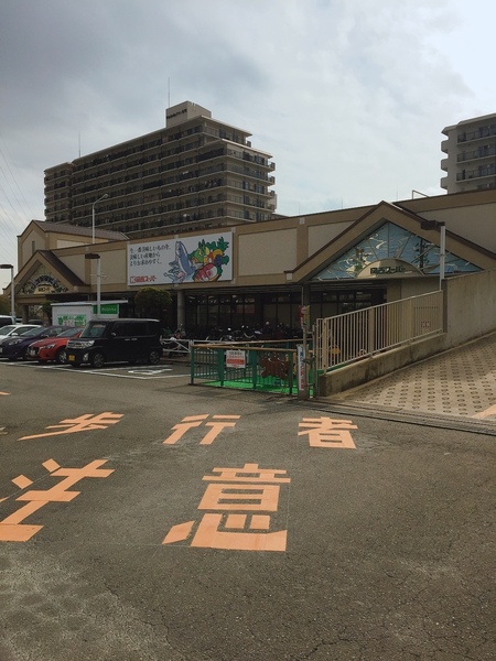 東大阪市日下町１丁目の土地(関西スーパー　日下店)