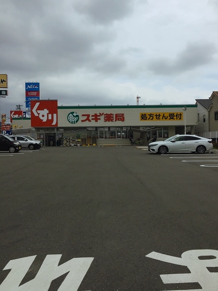 瓢箪山マンション(スギ薬局 若草町店)