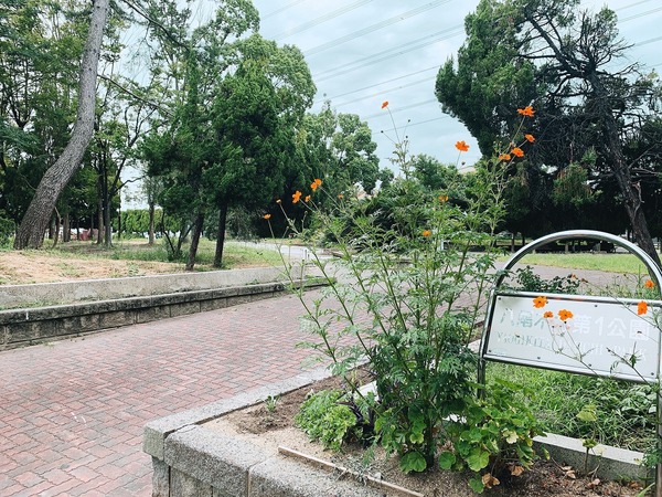 八尾木二丁目 新築戸建て(八尾木北第1公園)
