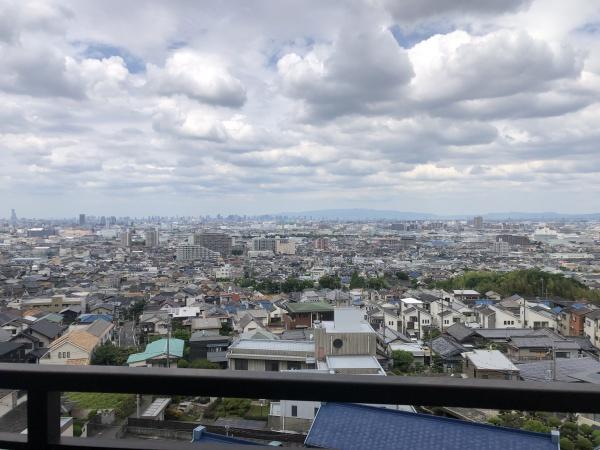 ディオフェルティ石切