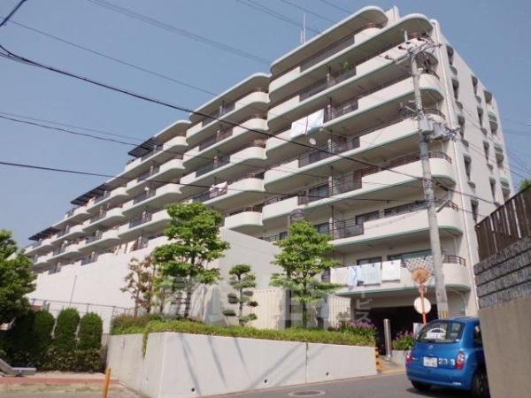 ディオフェルティ石切