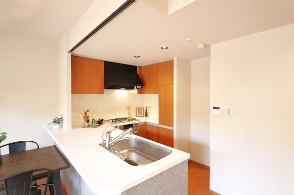 キャステージパーク４番街中古マンション