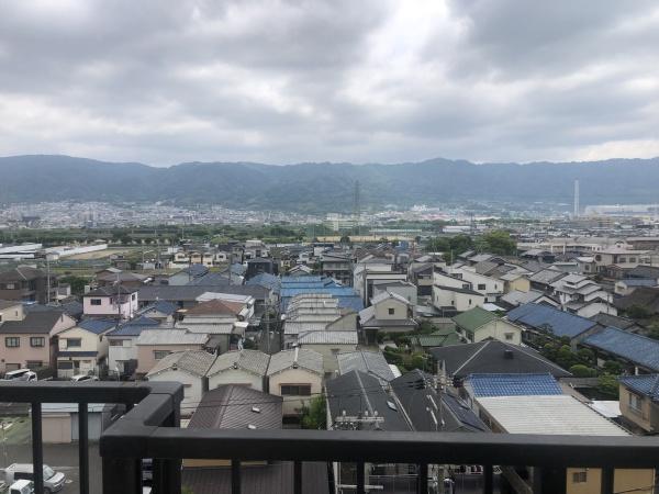 エクセレンス山本