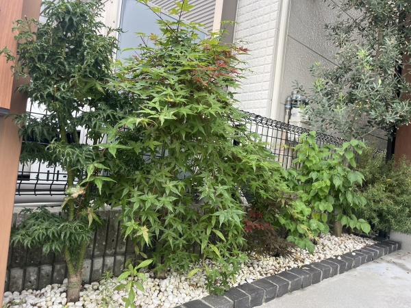 八尾市八尾木東３丁目の中古一戸建て