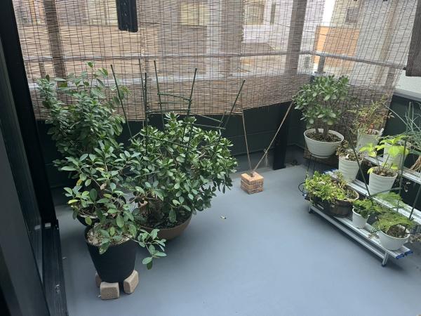 八尾市八尾木東３丁目の中古一戸建て