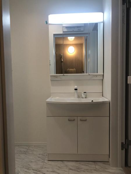 東大阪市大蓮東2丁目の新築一戸建(洗面台・洗面所)