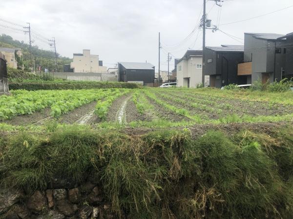 八尾市黒谷２丁目の土地