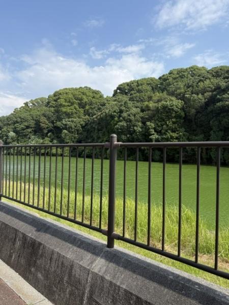 羽曳野市軽里３丁目の中古一戸建て