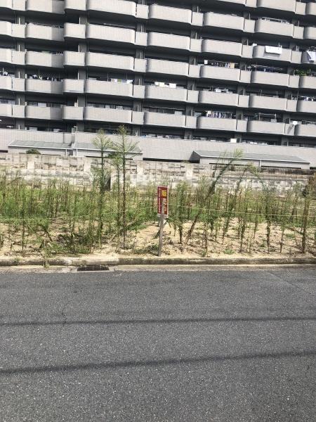 八尾市沼１丁目の新築一戸建