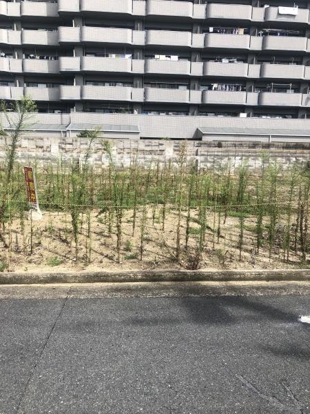 八尾市沼１丁目の新築一戸建