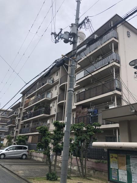 フラワリータウン志紀 B棟