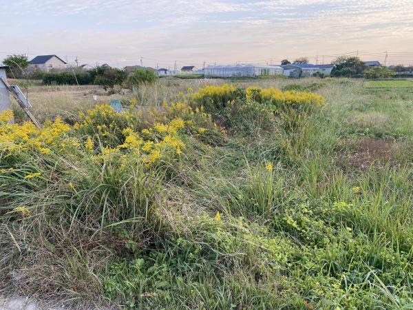 みよし市三好町物由の土地