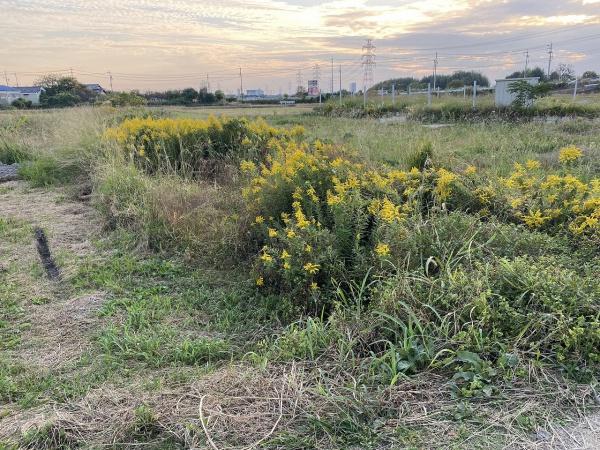 みよし市三好町物由の売土地