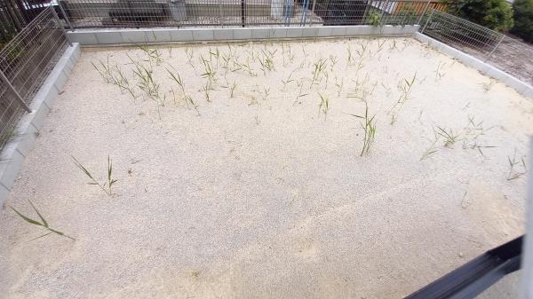 日進市岩崎台３丁目の中古一戸建て