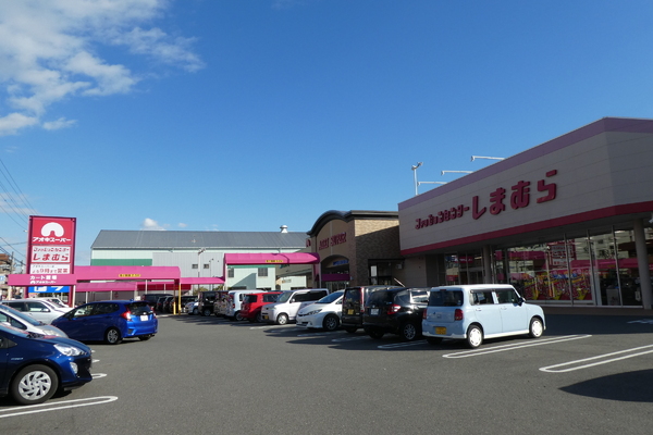 海部郡蟹江町大字蟹江新田字大海用の土地(アオキスーパー富吉店)