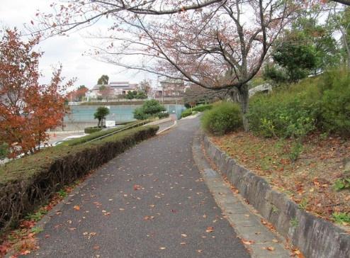 みよし市三好丘桜3丁目2号棟新築戸建全2棟(三好丘桜公園)