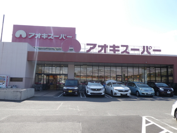 緑区大清水東2期C号棟新築戸建全3棟(アオキスーパー 鳴海)