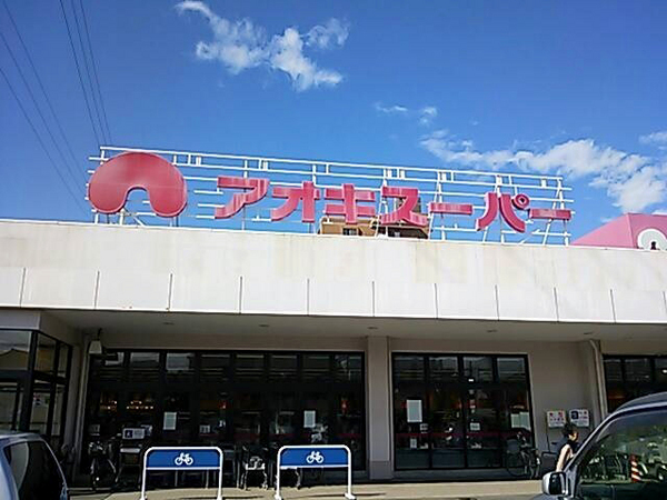 豊明市第2栄町南舘 全1棟 新築戸建(アオキスーパー前後店)