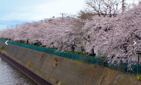 東郷町春木第263号棟新築戸建全3棟(境川緑地)