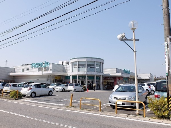 豊田市西中山町 1号棟 新築戸建 全2棟(メグリア井上店)
