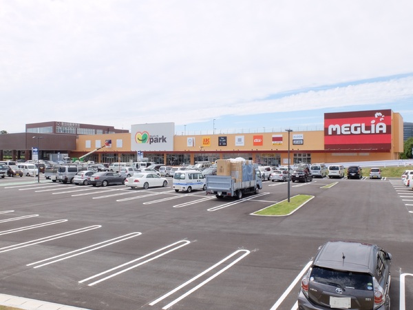 豊田市平山町1丁目新築戸建1号棟(メグリアエムパーク店)