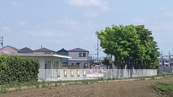 豊田市広美町第22号棟新築戸建全3棟(八橋保育園)