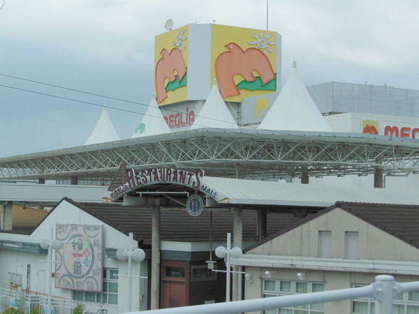 豊田市住吉町第2新築戸建全2棟　1号棟(メグリア本店)