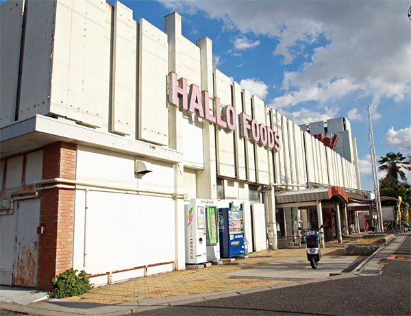 豊明市二村台7丁目3期1号棟新築戸建全2棟(ハローフーヅ豊明店)