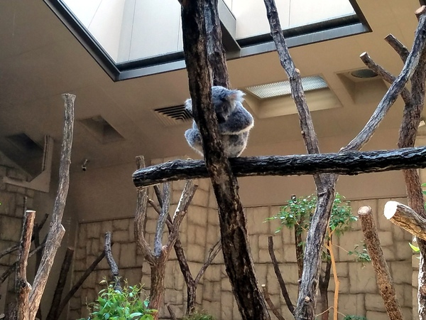 東山台スカイマンション　中古マンション(東山動植物園)