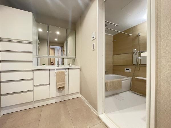 セントビスタ岡崎中古マンション