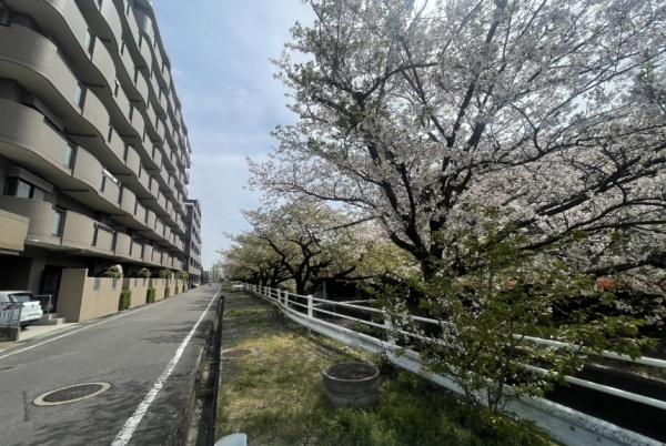 ライオンズガーデン三河安城第2