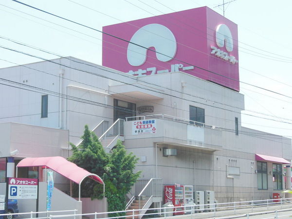 プレシアスシティ・ザ・シーズンズＤ棟(アオキスーパー長久手店)