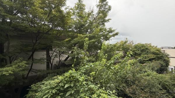 パークハウス南山　中古マンション