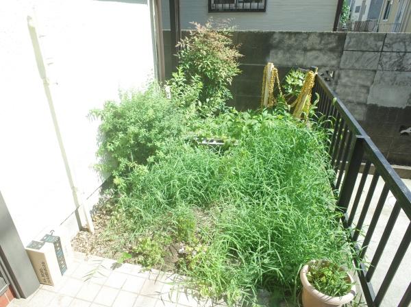 小平市栄町３丁目の中古一戸建て