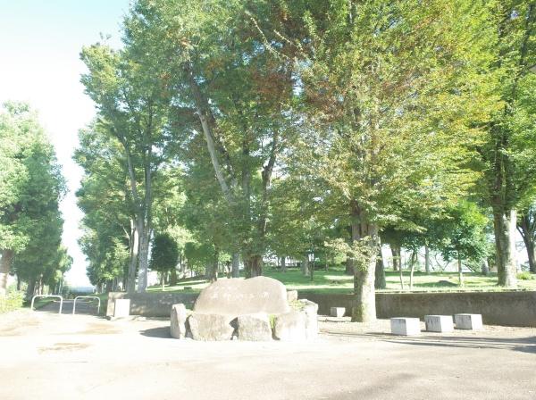 東大和市新堀１丁目の土地(上仲原公園)