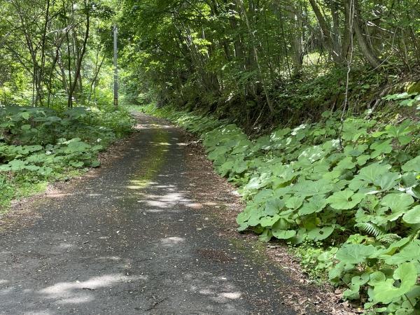 札幌市南区石山の土地