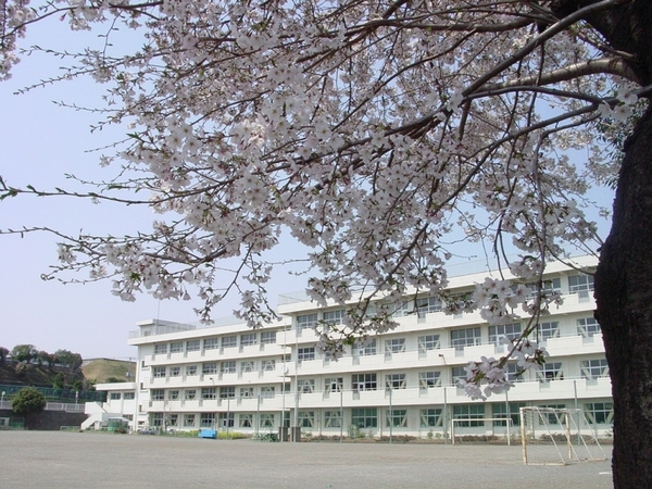 座間市栗原中央１丁目の土地(座間市立立野台小学校)