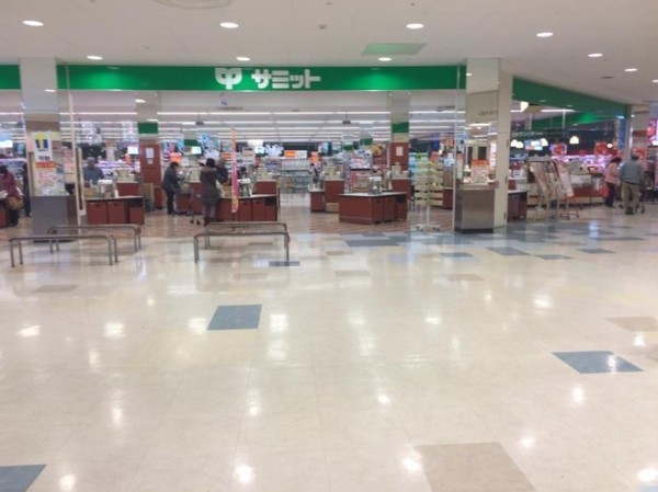 綾瀬市早川城山4丁目の中古一戸建て(サミットストア綾瀬タウンヒルズ店)