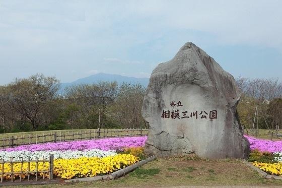 ベルドゥムール海老名弐番館(県立相模三川公園)