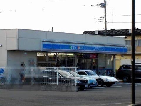 海老名コーポラスB棟(ローソン海老名中新田二丁目店)