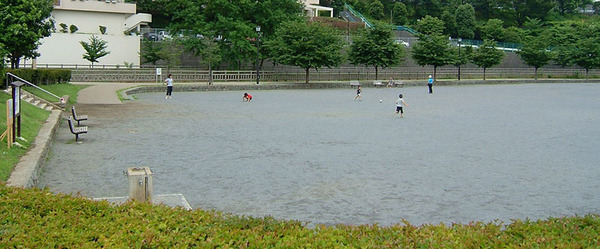 海老名市柏ケ谷5丁目の土地(北部公園)