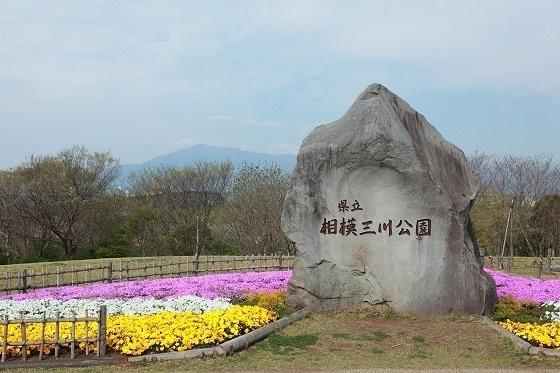 座間市新田宿の土地(県立相模三川公園)